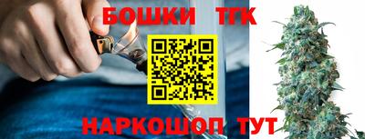 тгк Обь