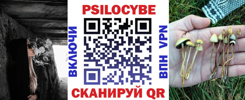 даркнет официальный сайт  Химки  Галлюциногенные грибы Psilocybe 